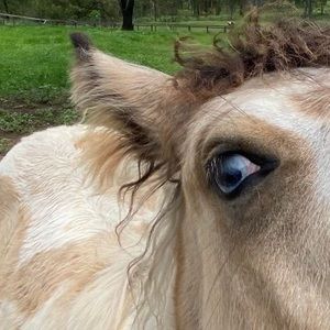 Meet your Posher, Michaela